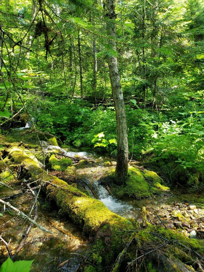 Nhn Mt Hwy 83, Swan Lake, MT 59911 - photo 4