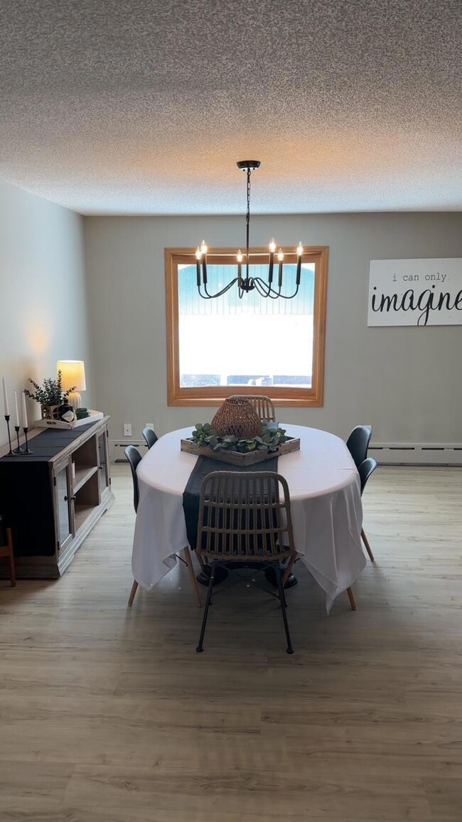 503 6th St NE, Roseau, MN 56751 - photo 7
