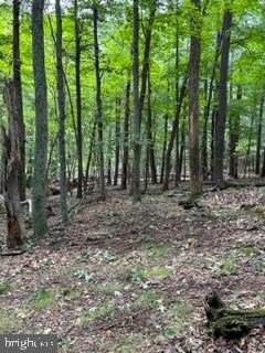 0 Silvercreek Ln unit WVMO2003390, Berkeley Springs, WV 25411 - photo 7