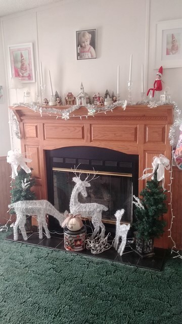 Gas Fireplace