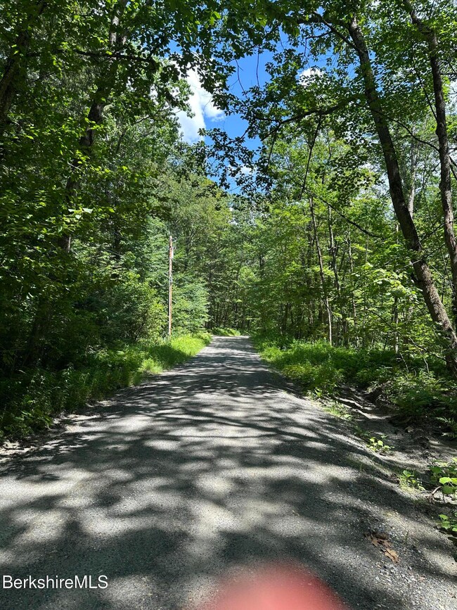 0 Cronk Rd, Sandisfield, MA 01255 - photo 5