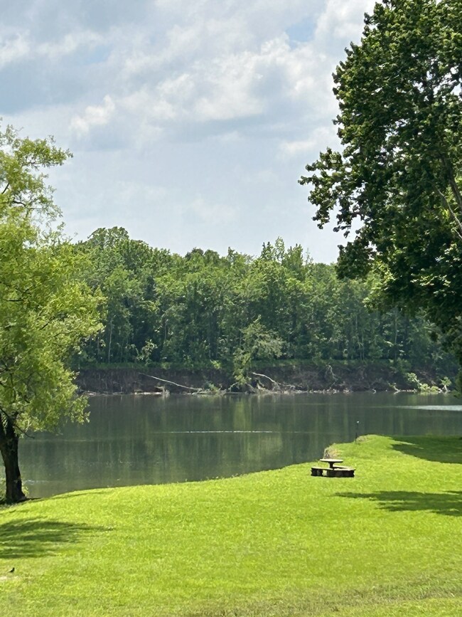 View from across the street. TN River