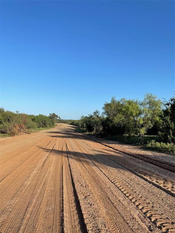 136 Tobiano Trace, Brock, TX 76087 - photo 5