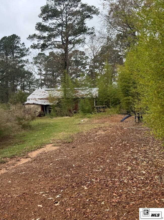 595 Swiftwater Ln unit 116 Spruce LANE, Farmerville, LA 71241 - photo 5