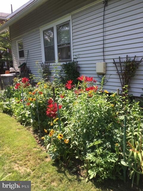 1036 Olive St, Coatesville, PA 19320 - photo 6