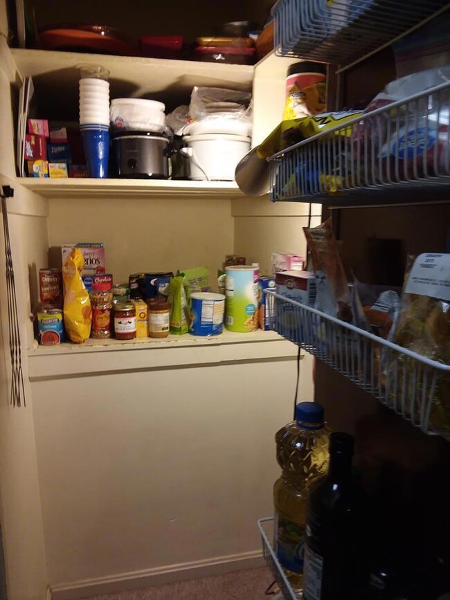Walk in pantry