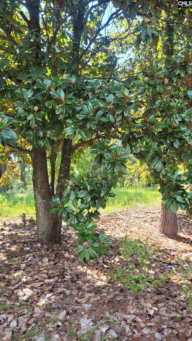 4 Chesapeake Ct, Columbia, SC 29223 - photo 6