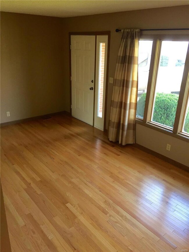 202 Blue Ridge Dr, Glen Carbon, IL 62034 - photo 7