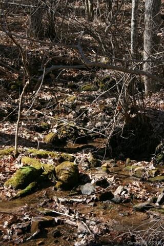 Small creek on South-East side of property, feedin