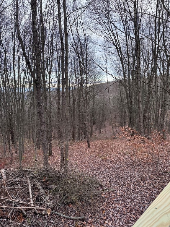 00 Campbell Hill Rd, Owego, NY 13827 - photo 5