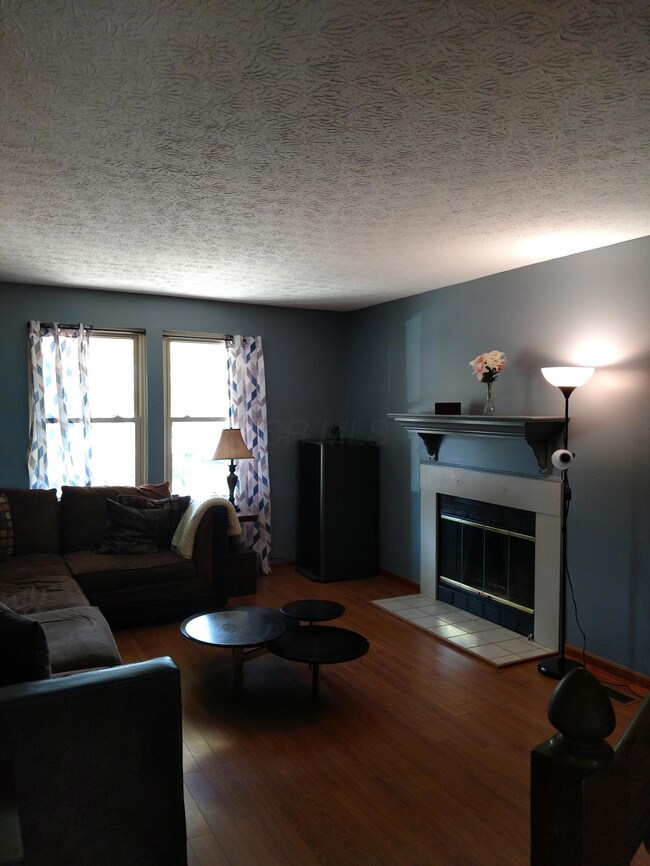 Living Room w/fplc