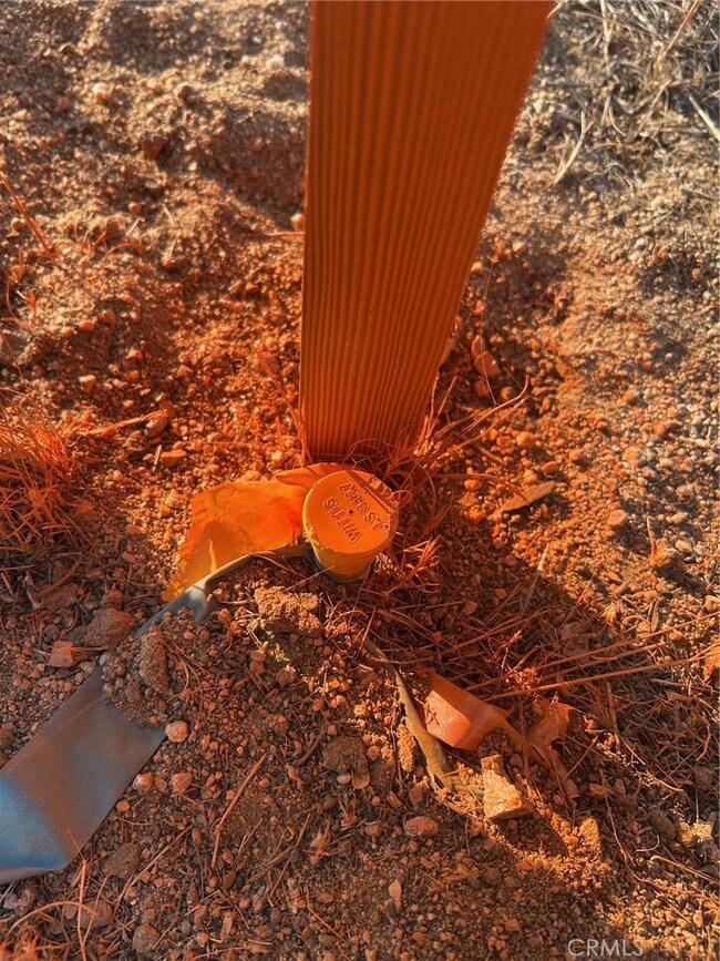 0 W Rosamond Blvd W unit DW25208618, Rosamond, CA - photo 5