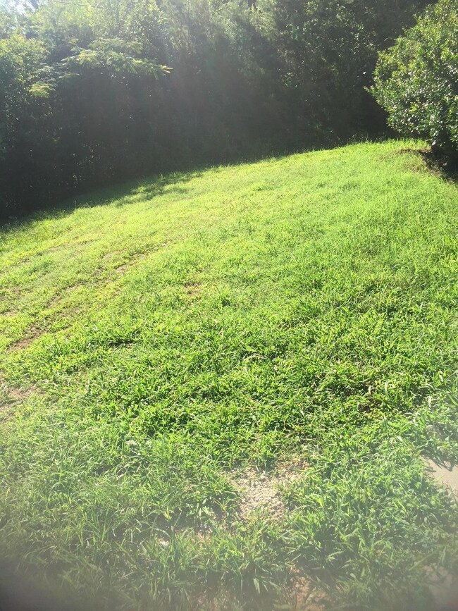 55 Enloe St, La Fayette, GA 30728 - photo 3