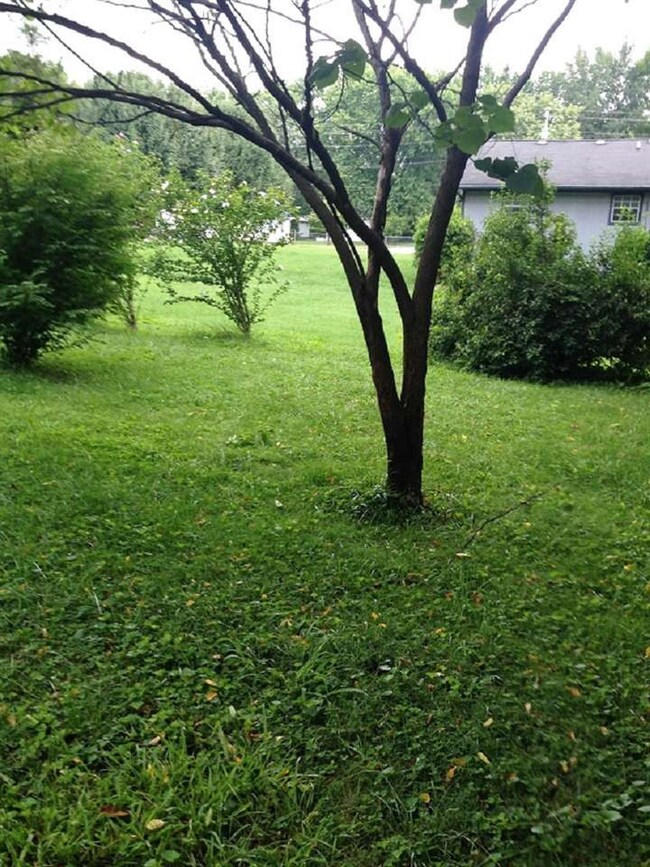 Additional View 4