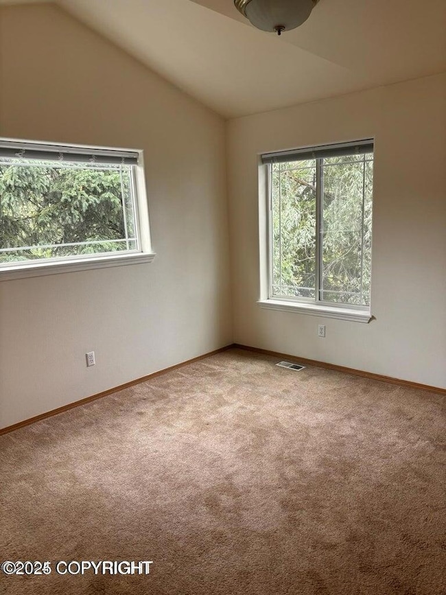 6800 Gold Kings Ave unit D, Anchorage, AK 99504 - photo 7