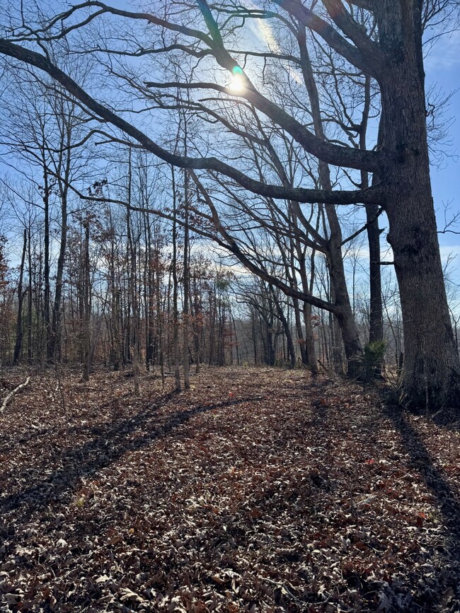 0 Lewisburg Hwy unit RTC3033027, Pulaski, TN 38478 - photo 2