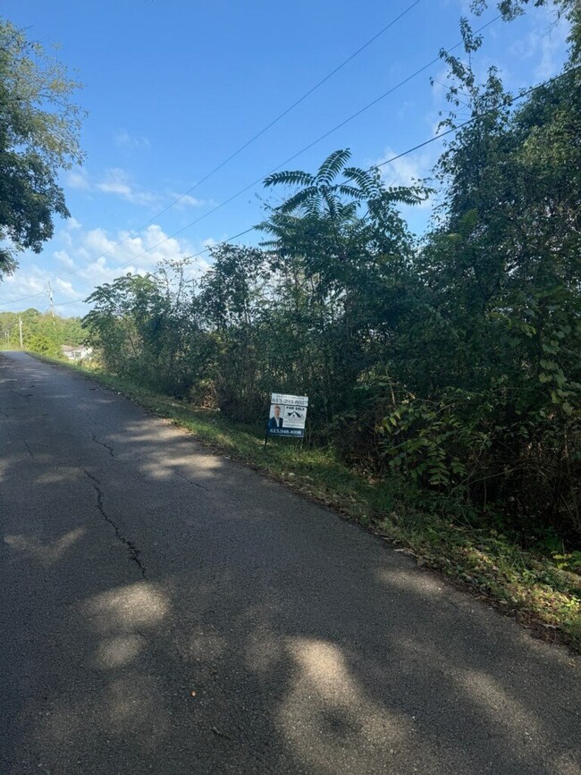 3.19 Acers right off the road!  0 Little Street Winchester, Tn 37398