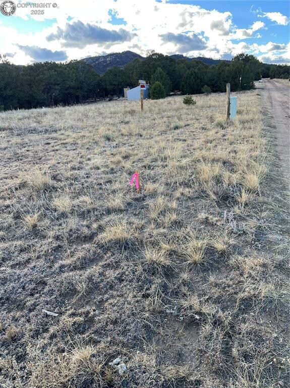 0 Q Path unit 7992612, Cotopaxi, CO 81223 - photo 2