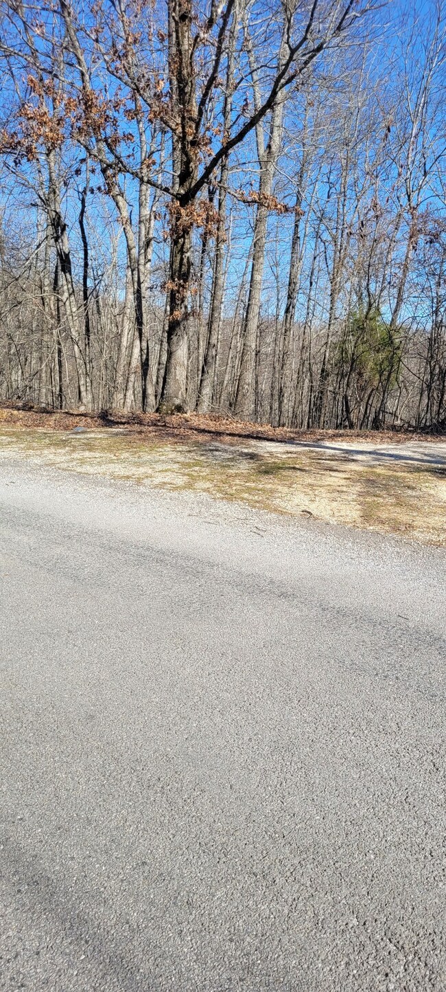 1 Eagle Shore Dr, Dover, TN 37058 - photo 5