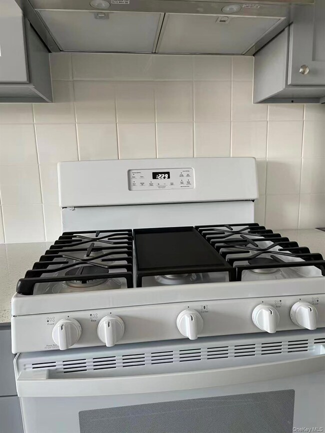 Wendy Building unit 3I, Flushing, NY 11354 - photo 7