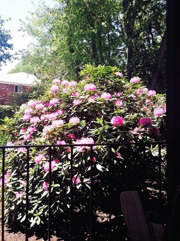 18 Fountain Ln unit 8, South Weymouth, MA 02190 - photo 6