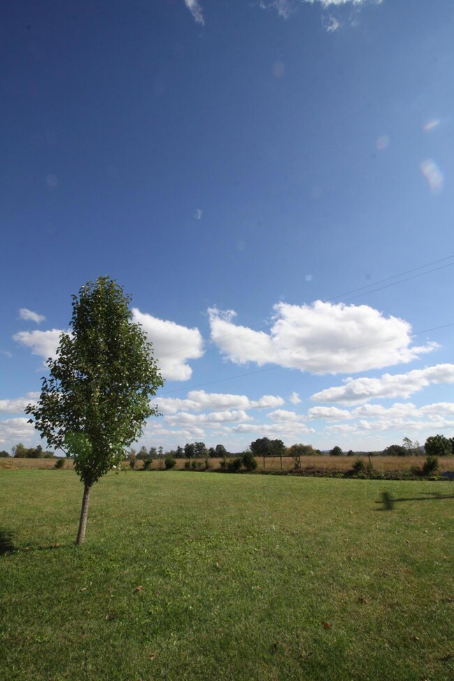 Park Like View
