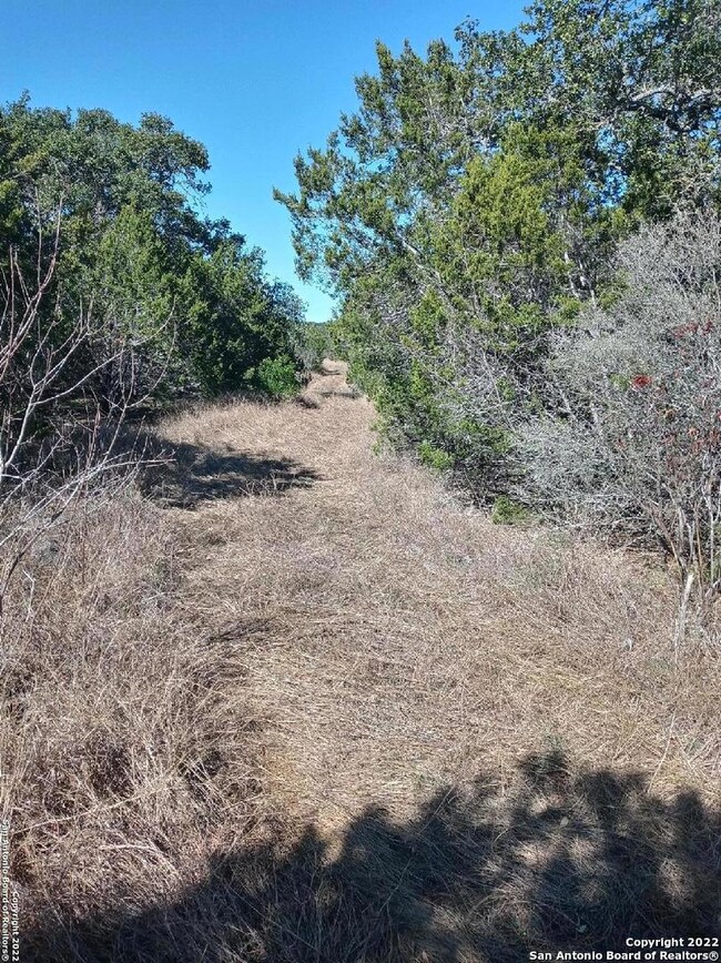 851 Cr 246, Hondo, TX 78861 - photo 3