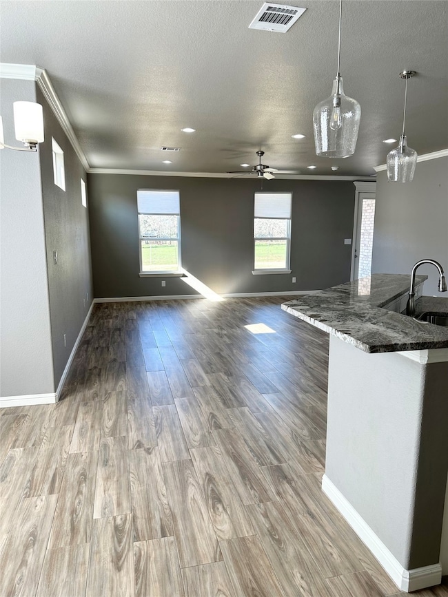 Bright natural light as you enter the living, dining and kitchen.