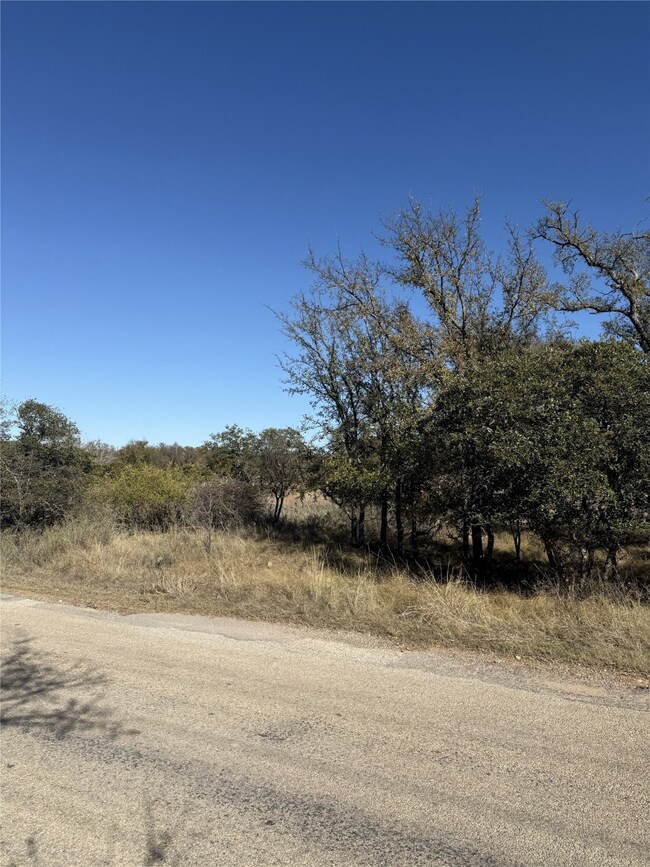 TBD Harbor Dr, Thunderbird Bay, TX 76857 - photo 7