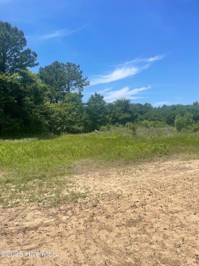 0 Easy St unit 100509135, La Grange, NC 28551 - photo 2