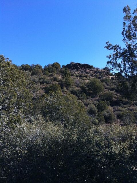 Lot 245 Badger Ridge Rd unit 245, Kingman, AZ 86401 - photo 5