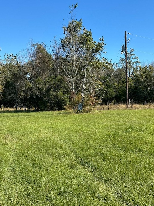 0 Highway 82, Sumner, GA 31789 - photo 3