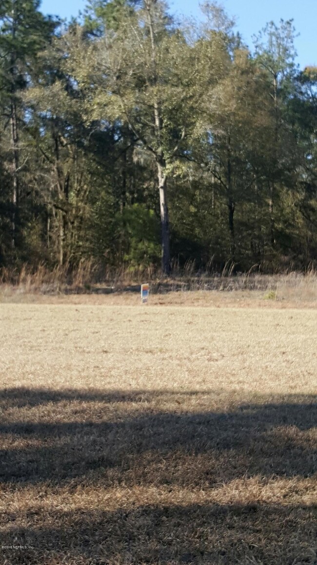 Picture #3 Back side Property