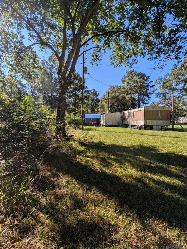 23154 Joe May Rd, Denham Springs, LA 70726 - photo 6