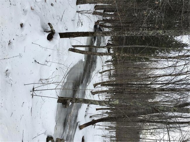 200 Abbott Pond Rd, Sumner, ME 04220 - photo 6