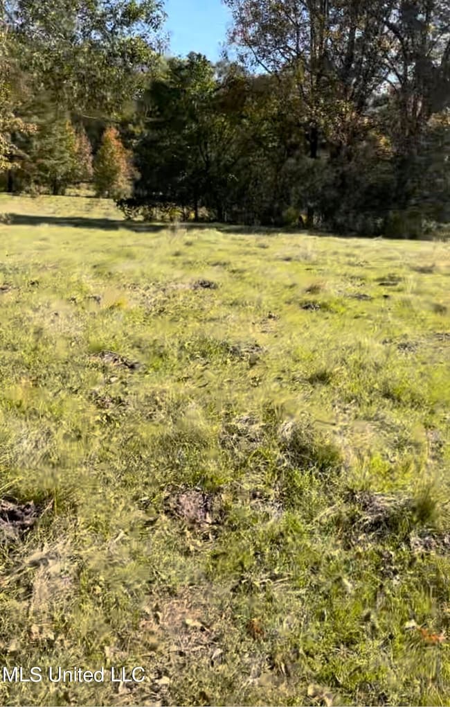 1105 Chapman Rd, Utica, MS 39175 - photo 7