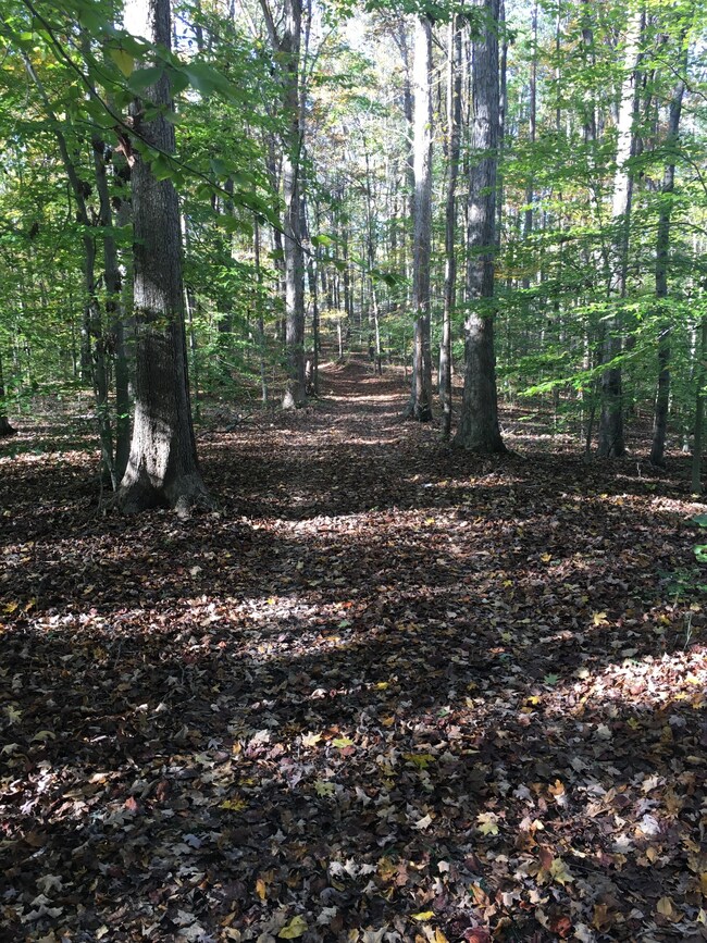 5610 Parker Branch Rd, Franklin, TN 37064 - photo 2