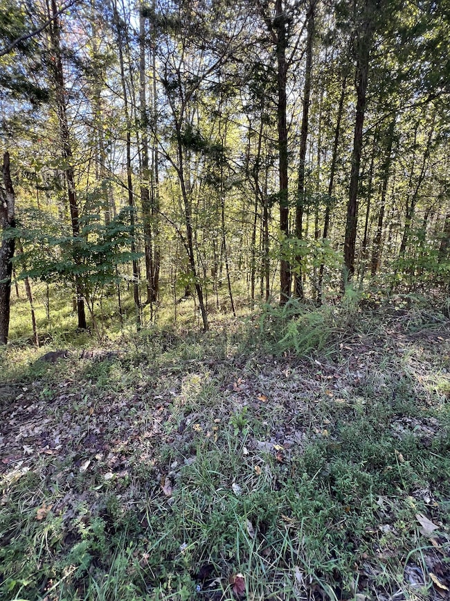0 Tobaccoport Rd, Bumpus Mills, TN 37028 - photo 3