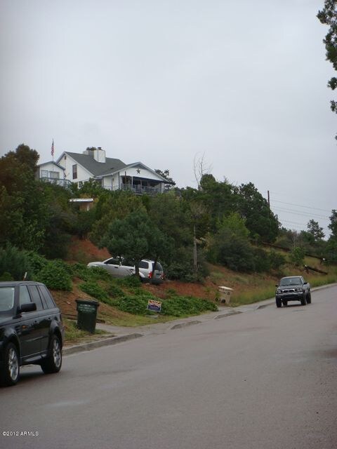 DSC05355a