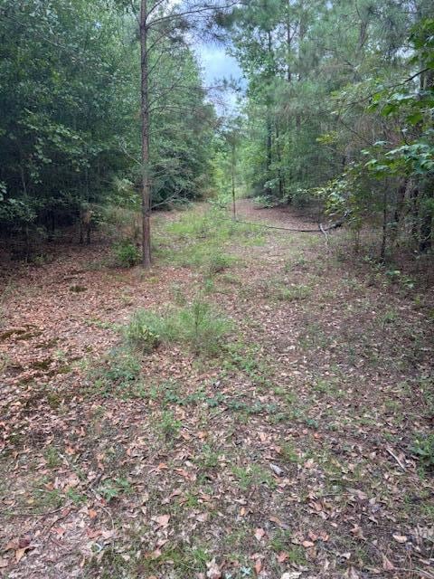 1912 Pine Hollow Dr, Augusta, GA 30906 - photo 4