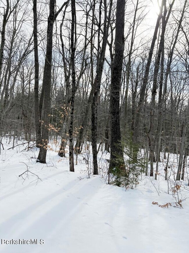 Lot View