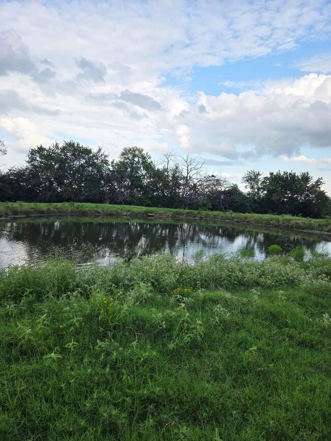 100 Bobby Tomlinson Rd, Bennington, OK 74723 - photo 4