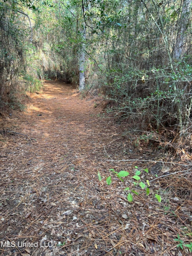 0 Columbia Purvis Rd unit 4131554, Columbia, MS 39429 - photo 5