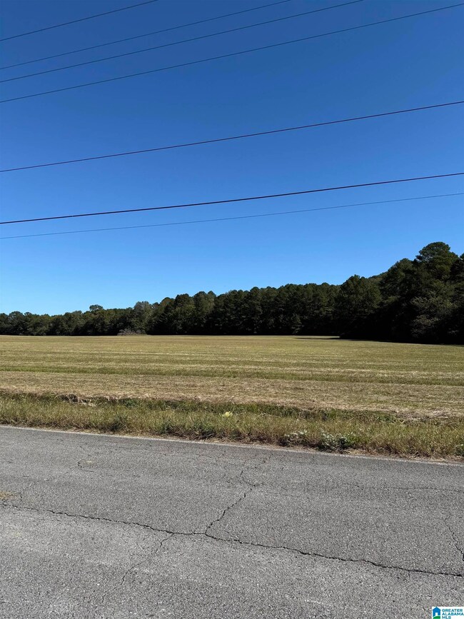 0 Old Six Mile Rd unit 21437335, Somerville, AL 35670 - photo 7