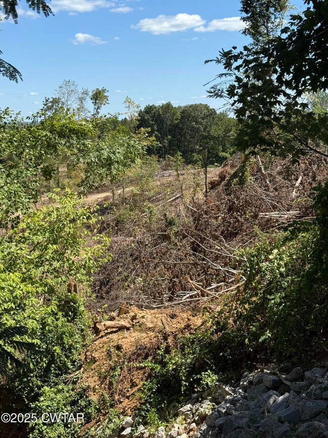 0 Whiskey Ridge Rd, Paris, TN 38242 - photo 6