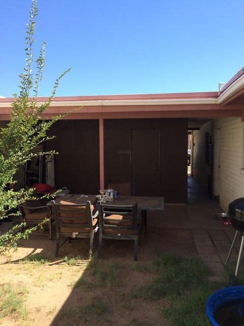Back Yard