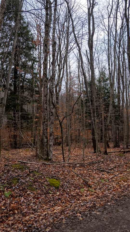 TBD Brookwood Hills Dr, Jordan Township, MI 49727 - photo 4