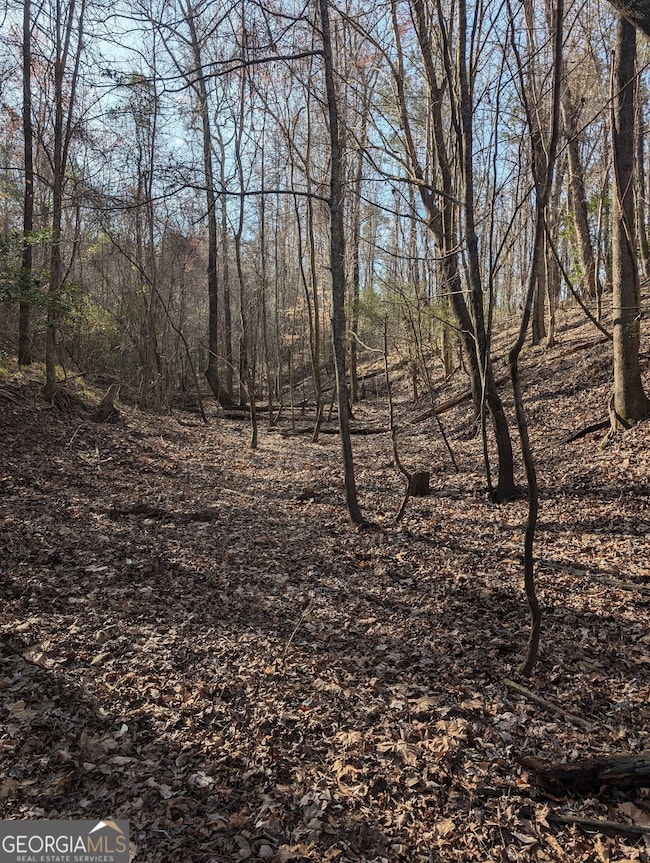 0 Parker Rd unit 10461595, Dry Branch, GA 31020 - photo 6