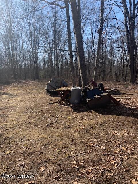 Cleared Site