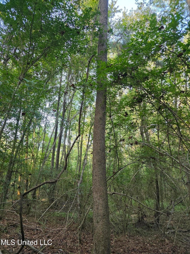 0 County Road 155 unit 4126041, Stringer, MS 39481 - photo 6